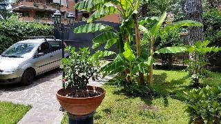 Il Giardino di Giulia 2, Rome