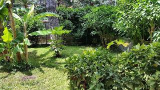 Il Giardino di Giulia 2, Rome