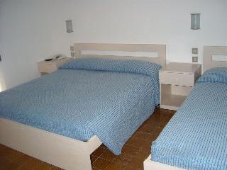 Haiti, Rimini
