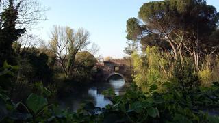 Villa Maria Rosa Molas, Rome