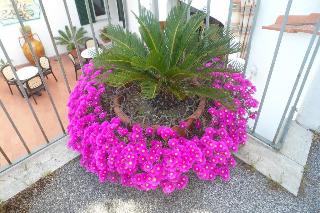 Parc Calitto, Ischia