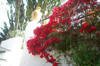 Parc Calitto, Ischia