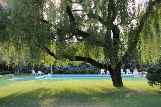 Blue Dream, Padova