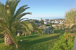 Albatros, Ischia