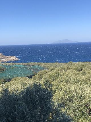 Dania, Sorrento