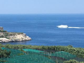 Dania, Sorrento