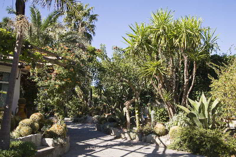 Park Hotel Terme Mediterraneo, Ischia