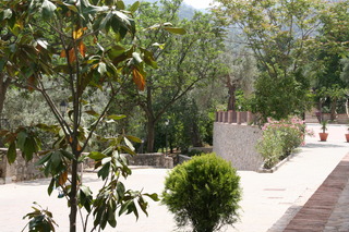 Tenuta Ciminata Greco, Calabria