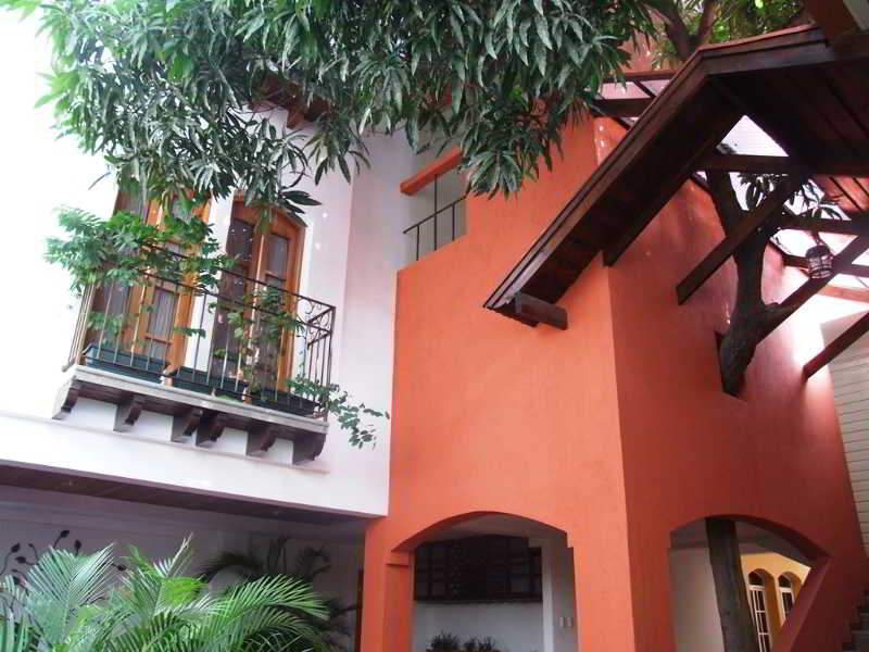 Hotel Casa del Arbol