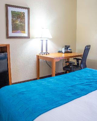 Room Room