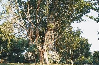 Kalu's Hideaway