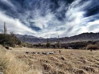 General view thumbnail 29