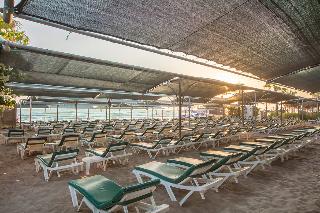 Trendy Palm Beach