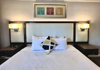 Room Room