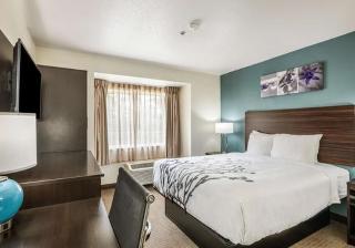 Room:SUI.QN