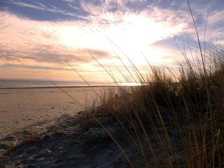 General view thumbnail 24