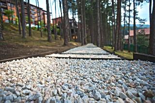 Maxi Velingrad Spa Hotel