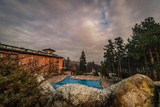 Spa Hotel Dvoretsa
