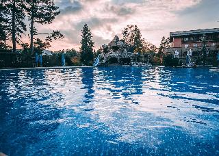 Spa Hotel Dvoretsa