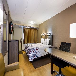 Room Room