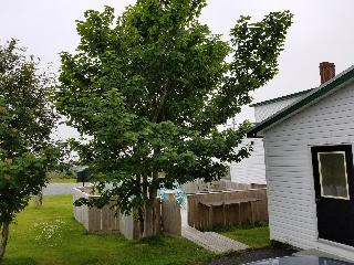 Edge of the Avalon Inn