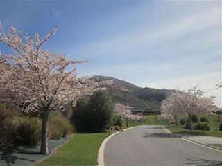 General view thumbnail 14
