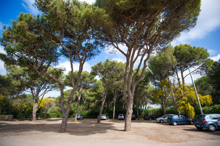 Ecoresort Le Sirene, Puglia
