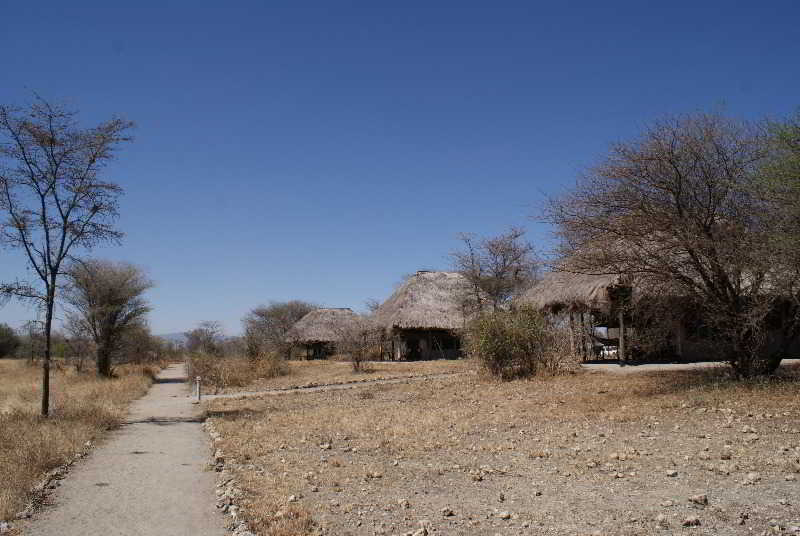 General view thumbnail 5