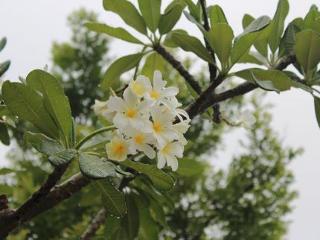 General view thumbnail 12