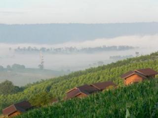 General view