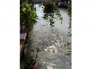 General view thumbnail 29