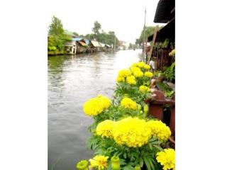 General view thumbnail 36