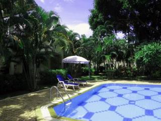 General view thumbnail 8