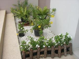 General view thumbnail 8