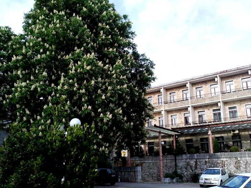 Terrace
 di Hotel Leotar