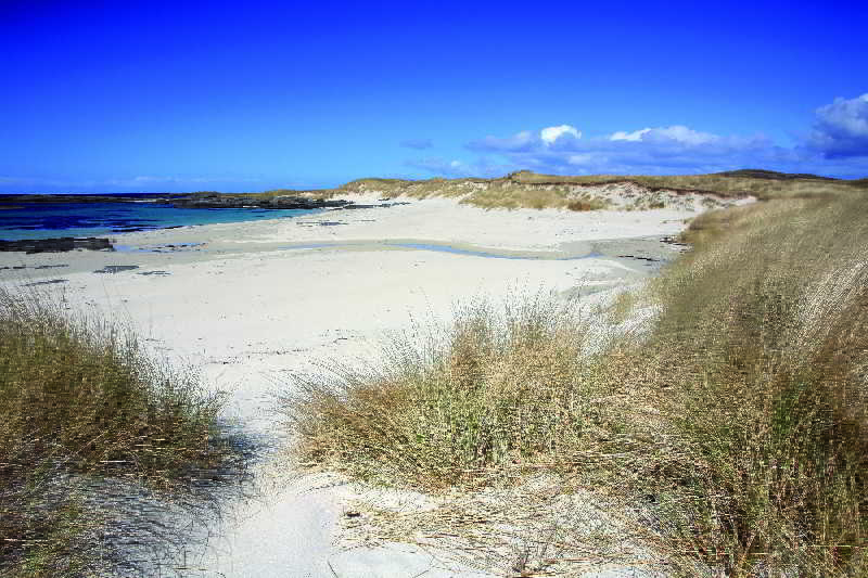 Beach
 di Pontins Camber Sands Holiday Park Classic Chalet