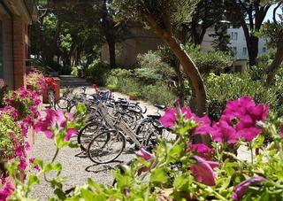 Eden Park, Grosseto