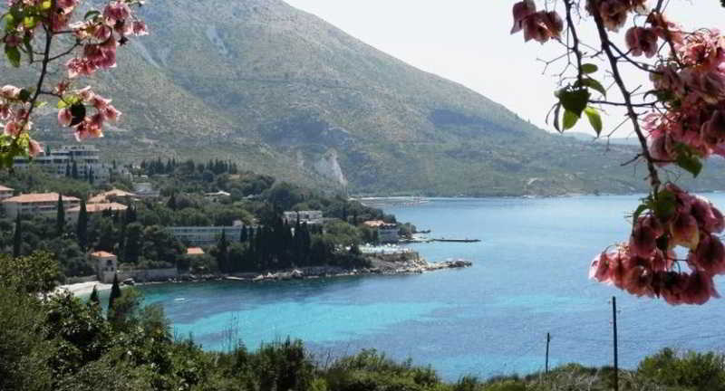 General view
 di Apartments A&M