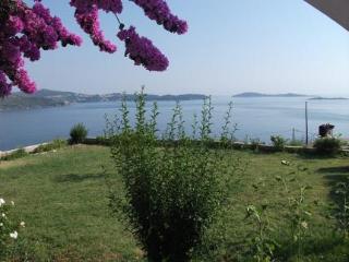 General view
 di Apartments A&M