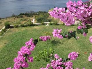 General view
 di Apartments A&M