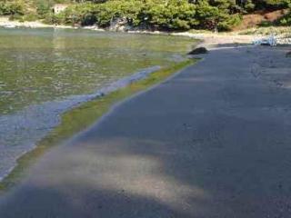 General view
 di Apartments Kralj