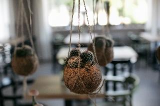 Hotel Aloisi, Puglia