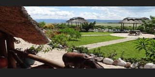 General view thumbnail 12