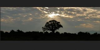 General view thumbnail 13