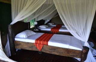Room thumbnail 1