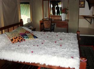 Room thumbnail 3