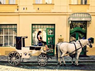 General view
 di Hastal Hotel Prague Old Town