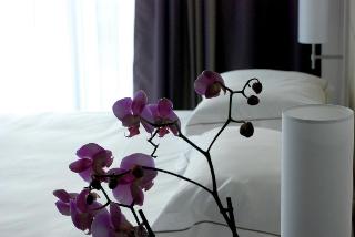 Kastel Relais Thalasso&Spa, Quimper