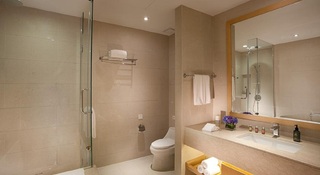 Room thumbnail 17