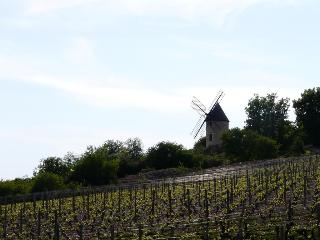 La Chouette, Beaune